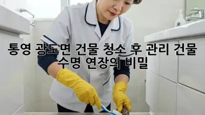 통영 광도면 건물 청소 후 관리: 건물 수명 연장의 비밀