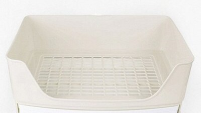 🐰 쾌적한 토끼 화장실! 빅카르노 솔직 후기 & 꿀팁 대방출! 🚽✨